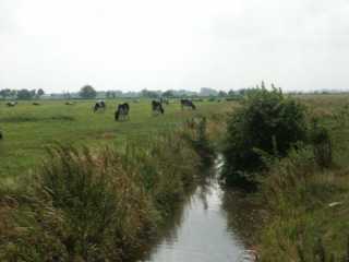 PICT8593.JPG