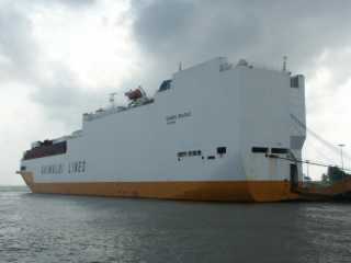 PICT8598.JPG