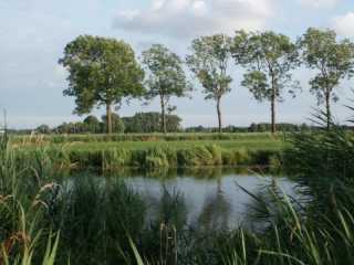 PICT8645.JPG