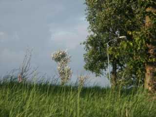 PICT8649.JPG