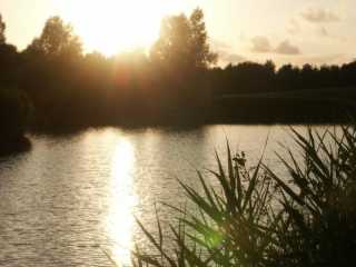 PICT8655.JPG