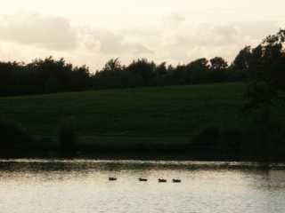 PICT8662.JPG