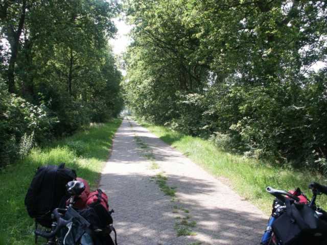 PICT8540.JPG