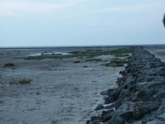 PICT8564.JPG