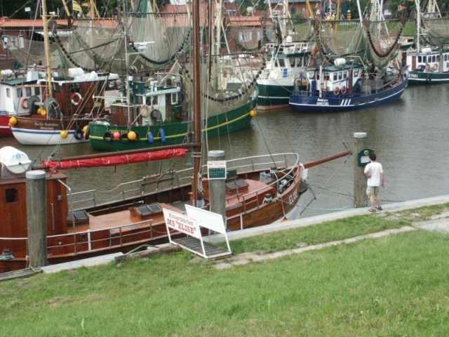 PICT8577.JPG