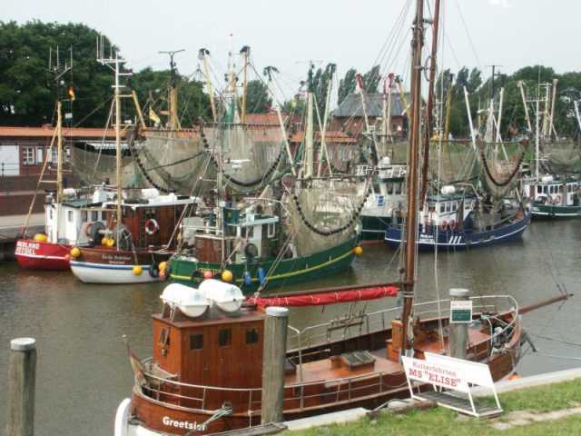 PICT8580.JPG