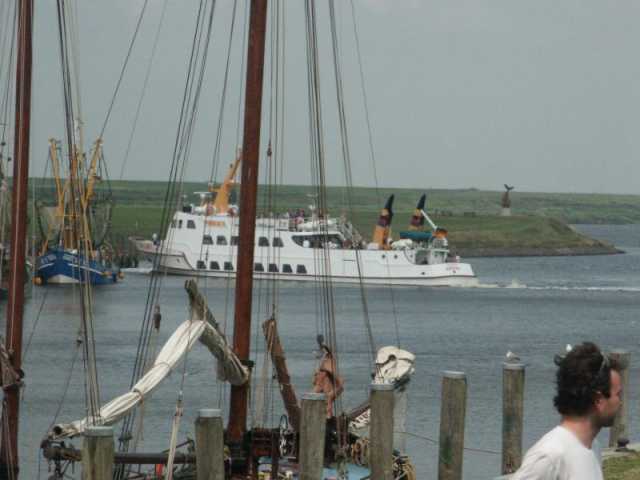 PICT8581.JPG