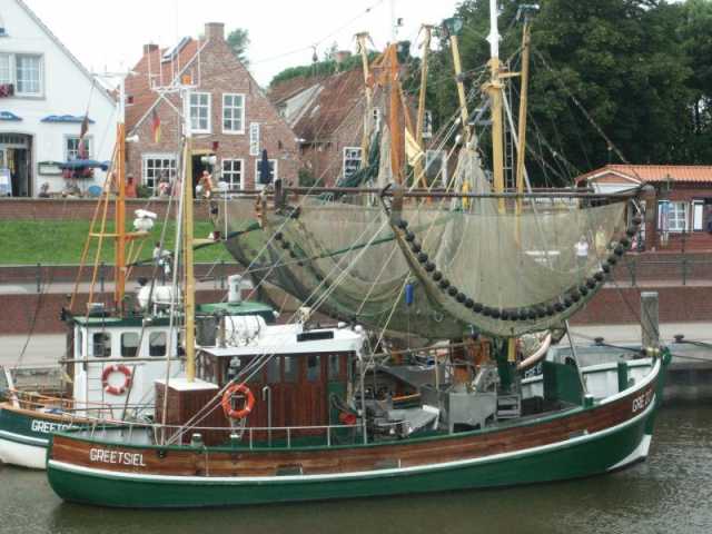 PICT8584.JPG
