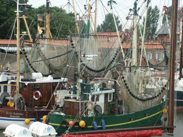 PICT8586.JPG