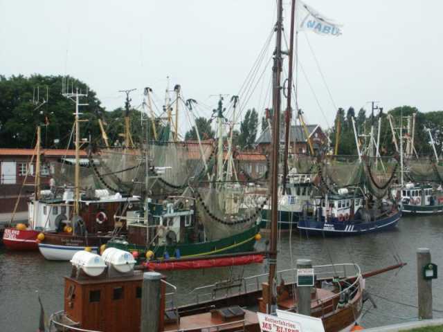 PICT8588.JPG