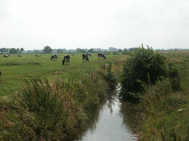 PICT8593.JPG