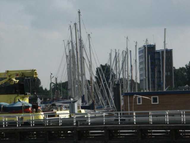 PICT8627.JPG