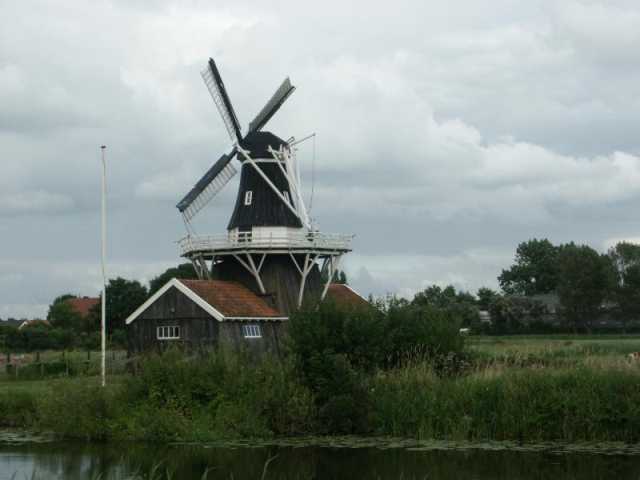 PICT8643.JPG