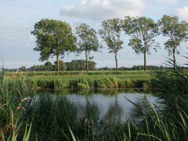 PICT8645.JPG