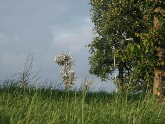 PICT8649.JPG