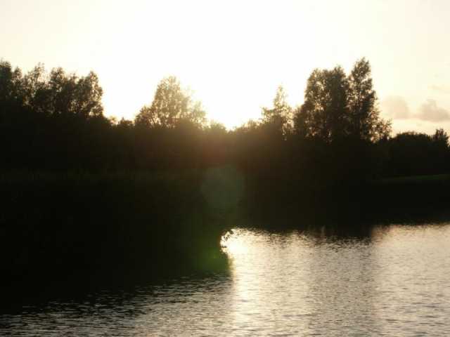 PICT8659.JPG