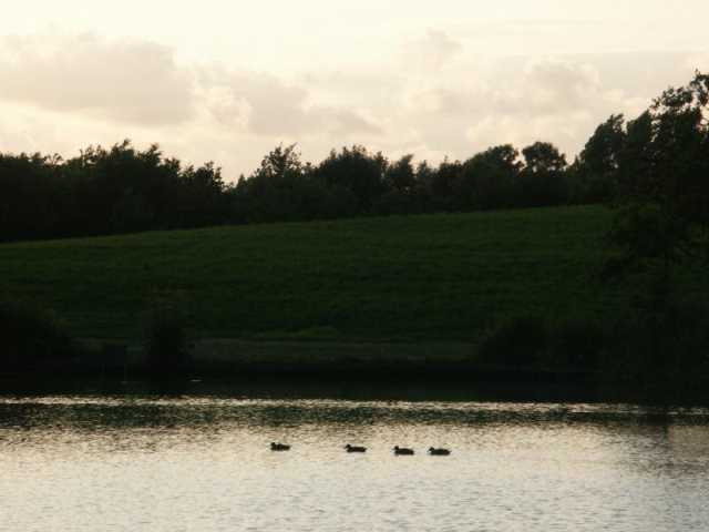 PICT8662.JPG