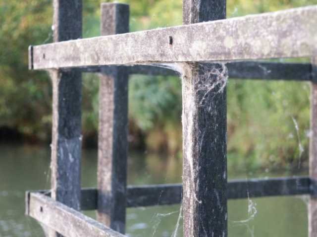 PICT8673.JPG