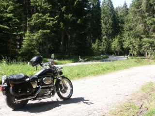 PICT7973.JPG