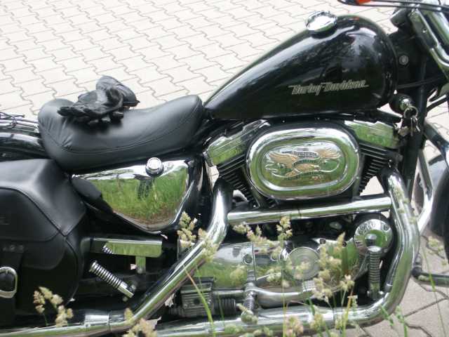 PICT7888.JPG