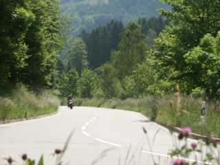 PICT7928.JPG