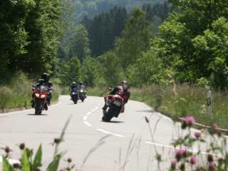 PICT7929.JPG