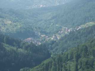 PICT7977.JPG