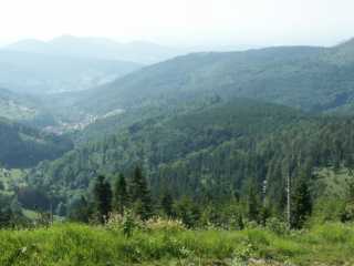 PICT7979.JPG