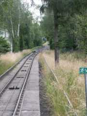 PICT8018.JPG