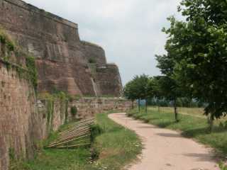 PICT8506.JPG