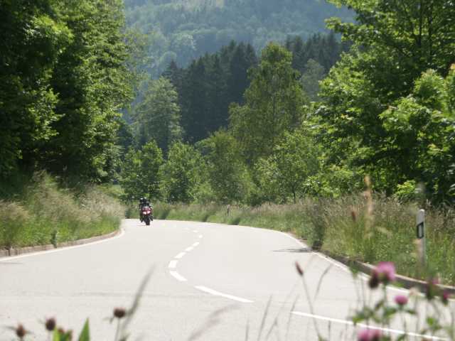 PICT7928.JPG