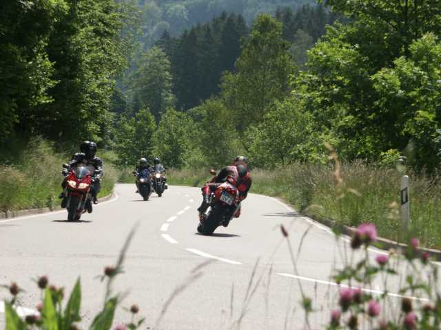 PICT7929.JPG