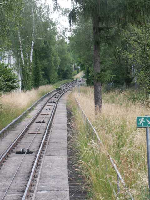 PICT8018.JPG