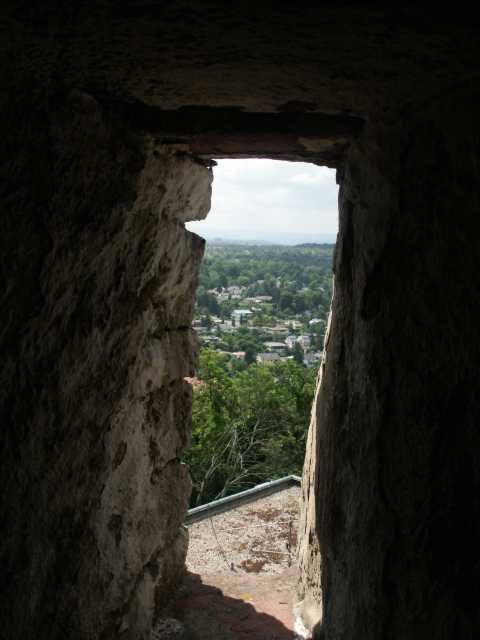 PICT8046.JPG