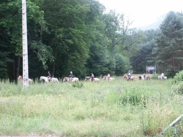 PICT8476.JPG