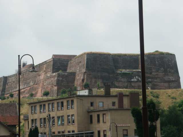PICT8492.JPG