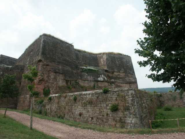 PICT8502.JPG
