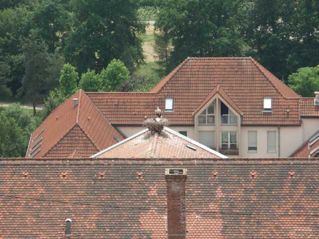 PICT8509.JPG