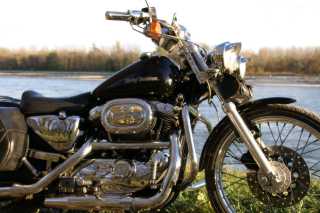 PICT0583.JPG