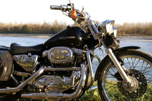 PICT0583.JPG
