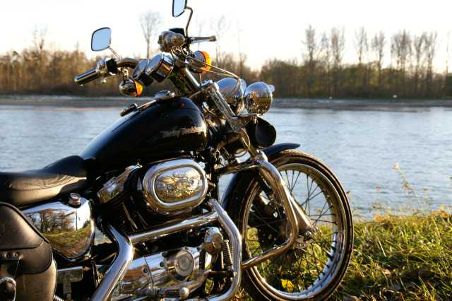 PICT0592.JPG