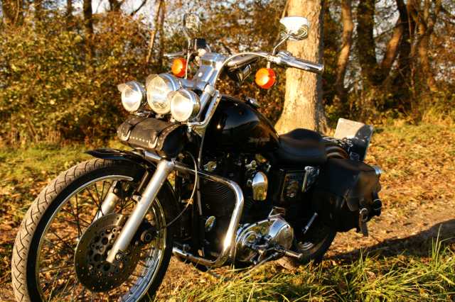 PICT0596.JPG