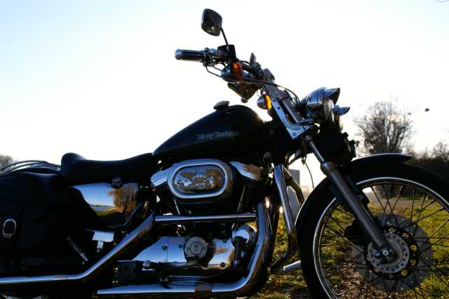 PICT0612.JPG
