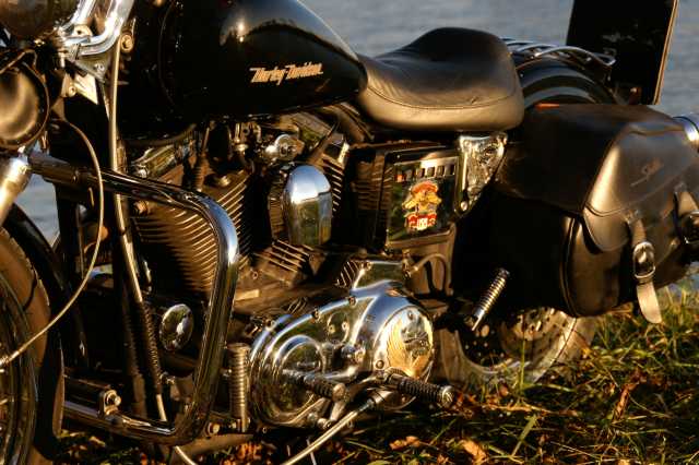 PICT0618.JPG