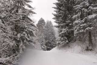 PICT0133.JPG