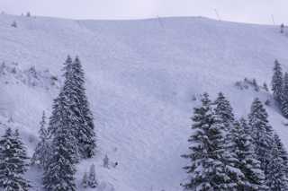 PICT0525.JPG