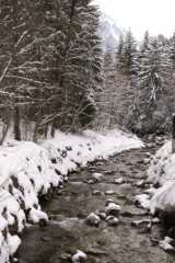 PICT0549.JPG