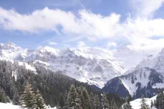 PICT0880.JPG