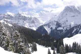 PICT0886.JPG