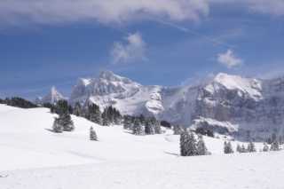 PICT0899.JPG